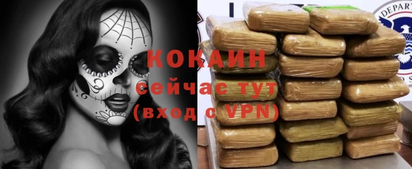 mdpv Белокуриха
