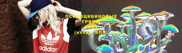 mdpv Белокуриха