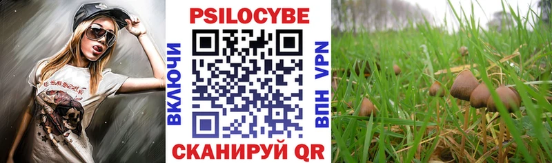 Галлюциногенные грибы MAGIC MUSHROOMS  площадка состав  Кушва 